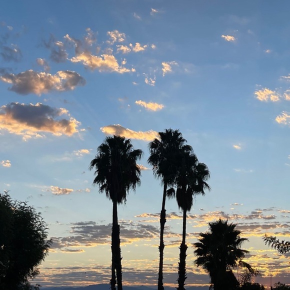 Meet your Posher - Picture 1 of 2